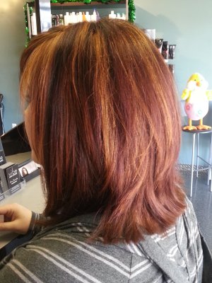 Glowing Red Chestnut (after)